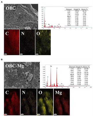 Effects of magnesium-modified biochar on soil organic carbon mineralization in citrus orchard